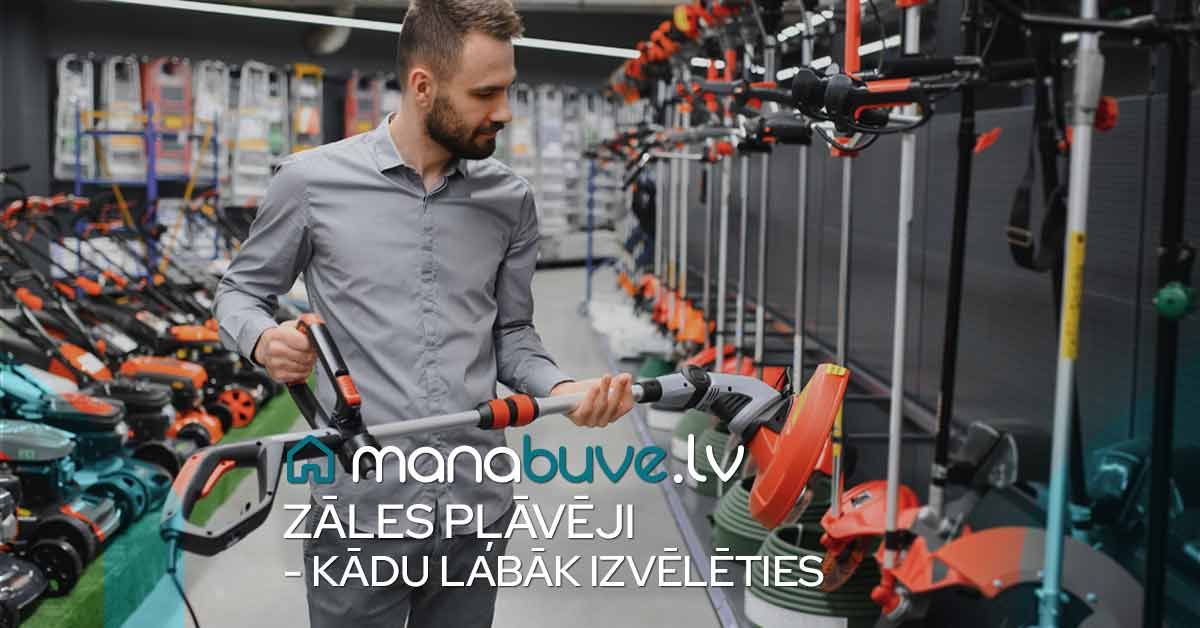 bilde zāles pļāvēji - kādu labāk izvēlēties